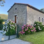 El Salvijo Monte (Trasmiera)