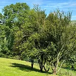 Chalet El Salvijo *
