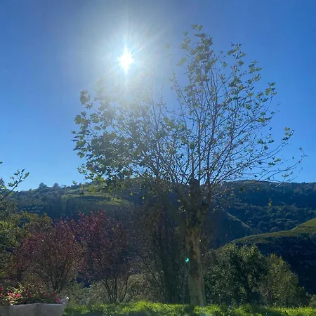 El Salvijo Monte (Trasmiera)