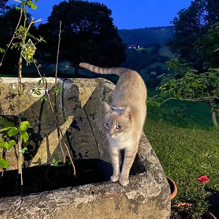 El Salvijo Horská chata Monte (Trasmiera)