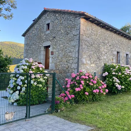 El Salvijo Monte (Trasmiera)