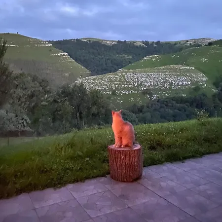 El Salvijo Horská chata