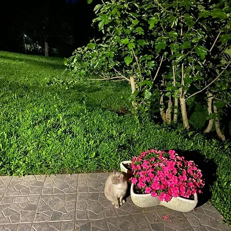 El Salvijo Horská chata *