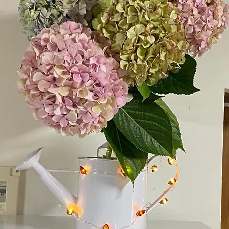 El Salvijo * Monte (Trasmiera)