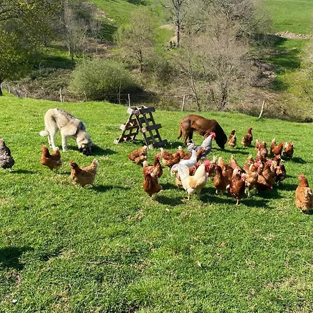 Horská chata El Salvijo Monte (Trasmiera)