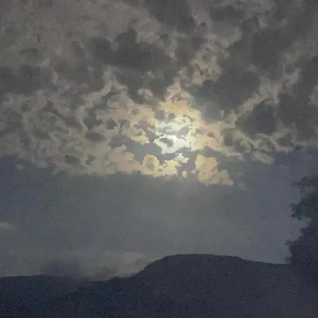 El Salvijo * Monte (Trasmiera)