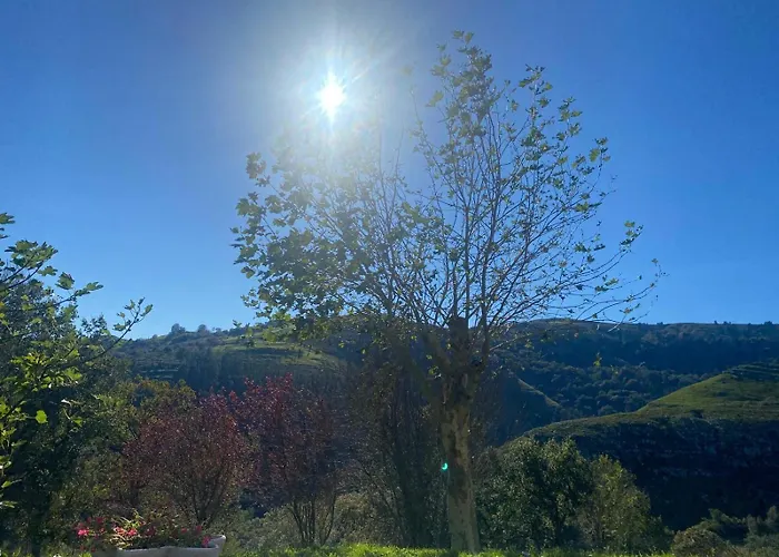 El Salvijo Monte (Trasmiera)