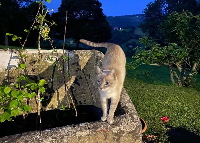 El Salvijo Horská chata Monte (Trasmiera)