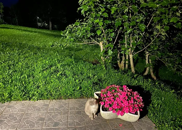 El Salvijo Шале *