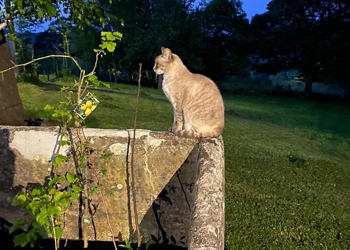 Horská chata El Salvijo *