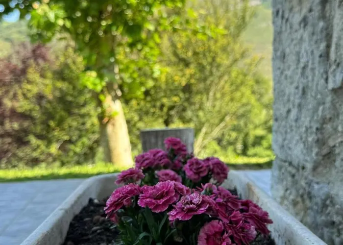 El Salvijo Monte (Trasmiera)