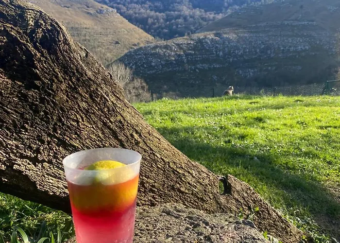 El Salvijo Monte (Trasmiera)