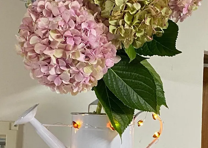 El Salvijo * Monte (Trasmiera)