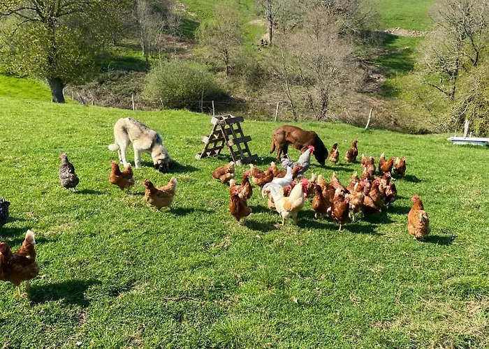 샬레 El Salvijo Monte (Trasmiera)