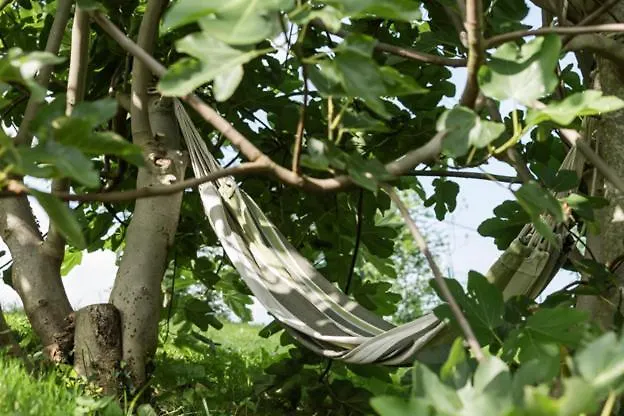 El Salvijo Horská chata *